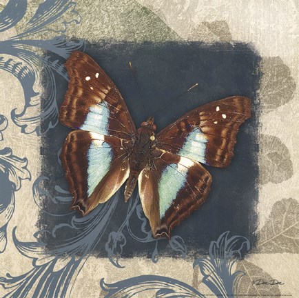 Framed Swirl Butterfly I Print