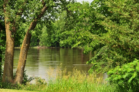 Framed Peace and Quiet Print