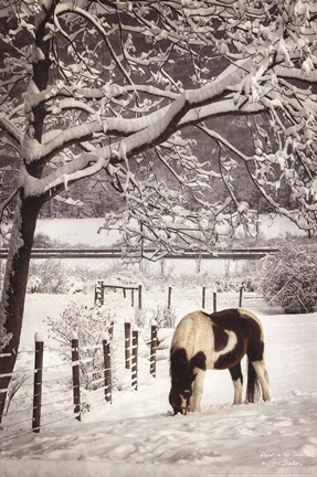 Framed Paint in the Snow Print