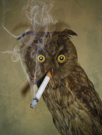 Framed Never Quit Print