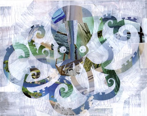 Framed Octopus Print