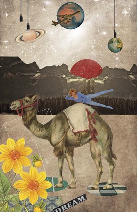 Framed Desert Is A Lonely Place Print