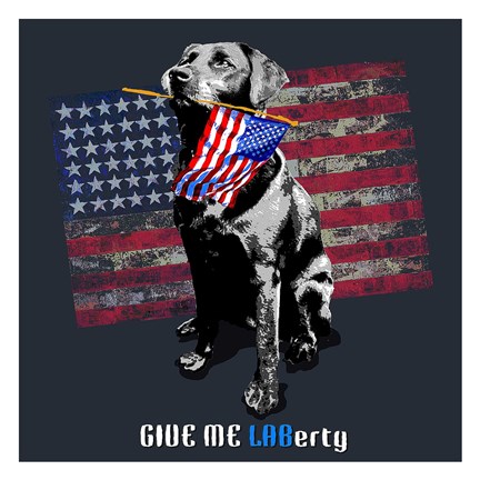 Framed Laberty Print