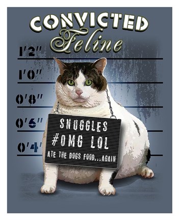 Framed Convicted Feline Print
