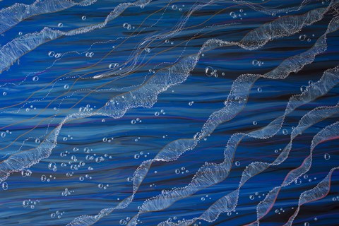 Framed Jelly Tentacles Print