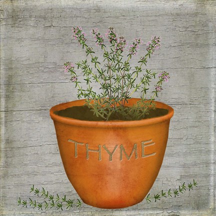 Framed Herb Thyme Print