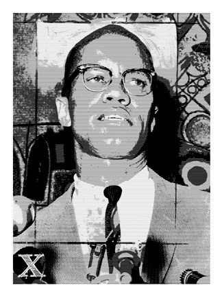 Framed Malcolm X Print
