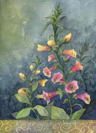 Framed Foxgloves Print