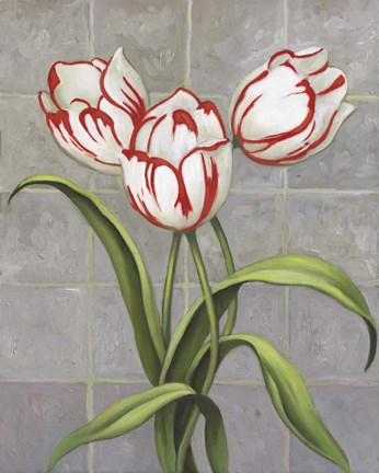 Framed Red-Striped Tulips Print
