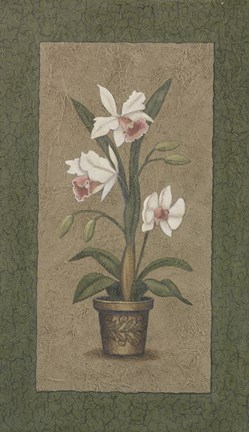 Framed Green Border Triptych - Right Print