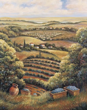 Framed Valley C Print