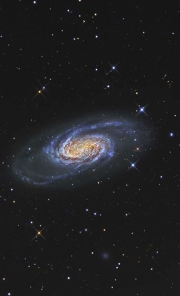 Framed NGC 2903 is a barred spiral galaxy in the Constellation of Leo Print
