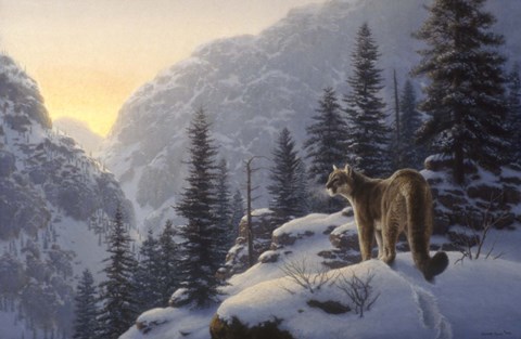 Framed Lot Of Cat Print