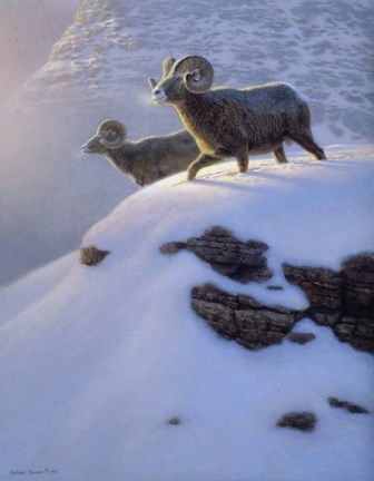 Framed Canyon Shadows Print