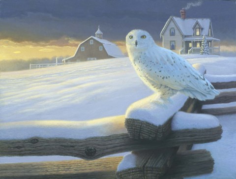 Framed Northern Guest Print