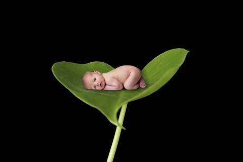 Framed Baby Danielle On Leaf Print