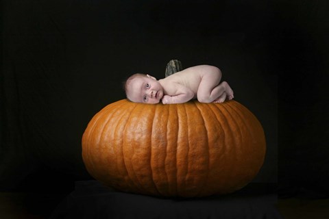 Framed Mock Pumpkin Baby Print
