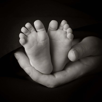 Framed Baby Feet In Hand II Print