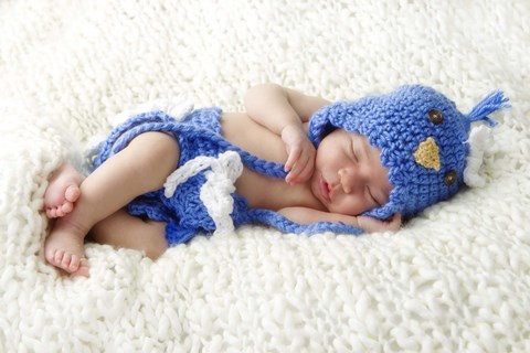 Framed Baby In Blue Bird Knit Print
