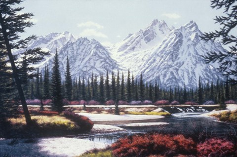 Framed Untitled Print