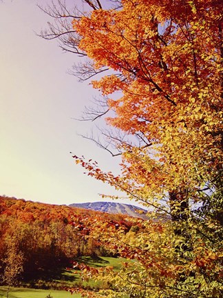 Framed Vegas Autumn Print