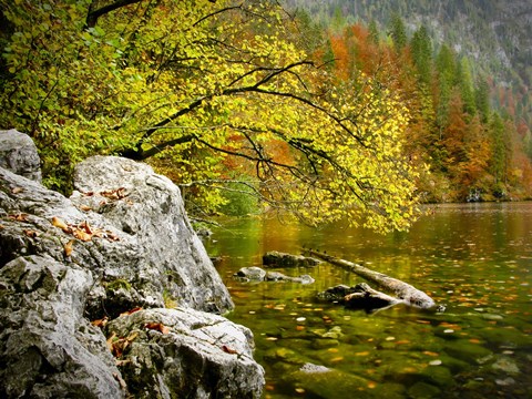 Framed Reaching Color Print