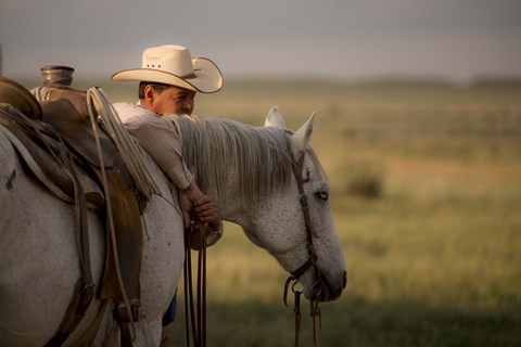 Framed Companion Print