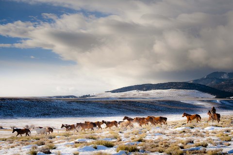 Framed Heading Home Print