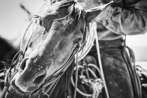 Framed Soul of the West Print