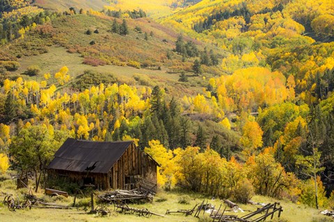 Framed Fall Pallet Print