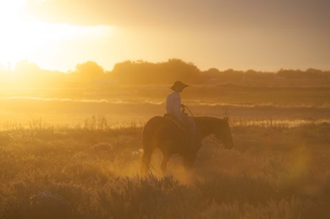 Framed Ready To Ride Print