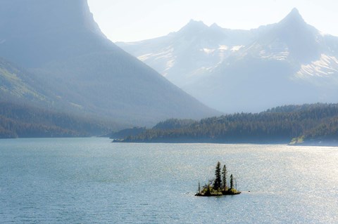 Framed Still Standing Print