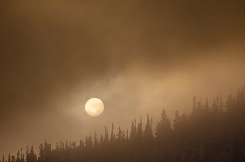 Framed Wild Moon II Print