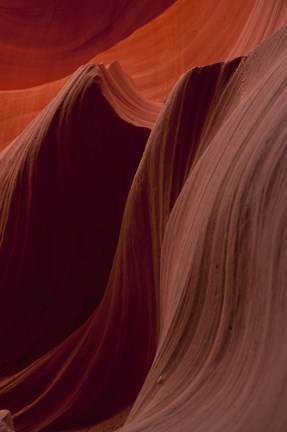 Framed Winds Master Piece Print