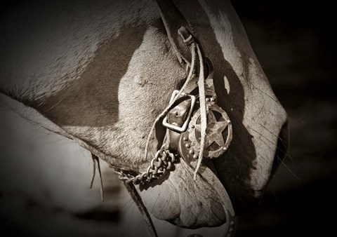 Framed Best Friends Print