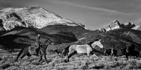 Framed Roping the San Greys Print