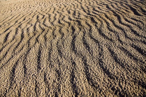 Framed Canunda National Park Print