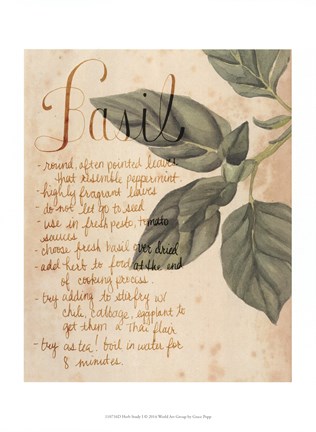 Framed Herb Study I Print