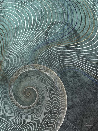 Framed Surround I Print