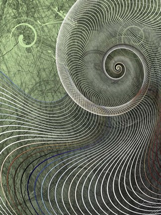 Framed Surround II Print