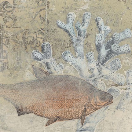 Framed Coastal Cameo IV Print