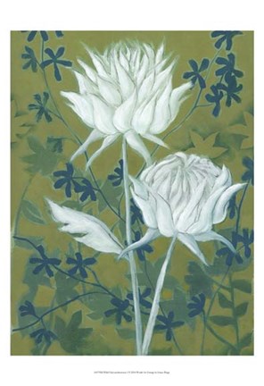 Framed Wild Chrysanthemums I Print