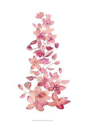 Framed Blossom Falls II Print