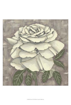 Framed Silver Rose II Print