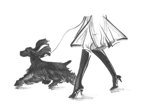 Framed Perfect Companion I Print