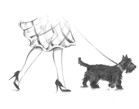 Framed Perfect Companion II Print