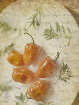 Framed Herb Still Life VI Print