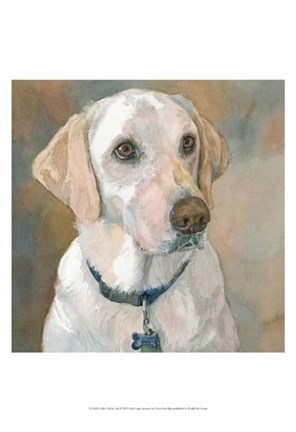 Framed Kaley Yellow Lab Print