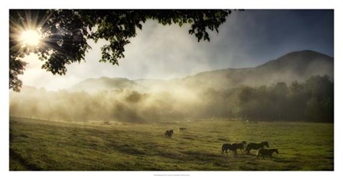 Framed Running in the Mist Print