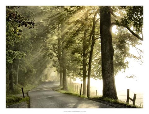 Framed Fresh Morning II Print